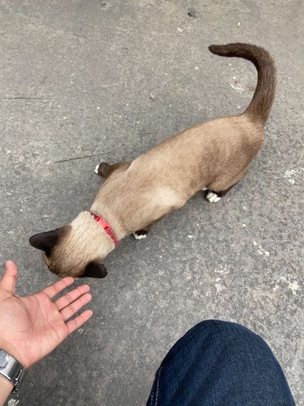 แชท หาเพื่อนคุย, หาเพื่อนเที่ยว 
