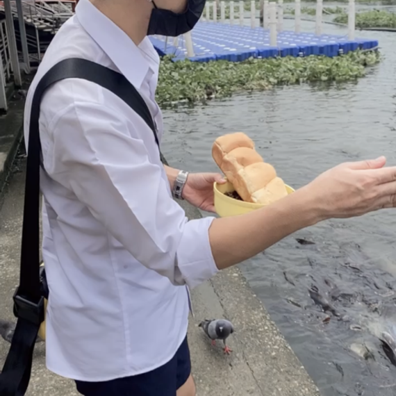 แชท หาเพื่อนคุย 