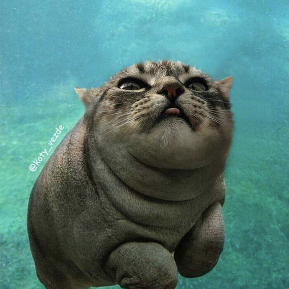 แชท หาแฟน, หาเพื่อนคุย 