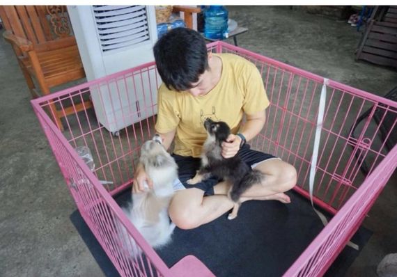 แชท โสด 
