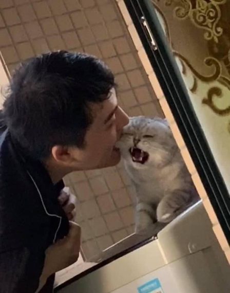 chat looking for friends 