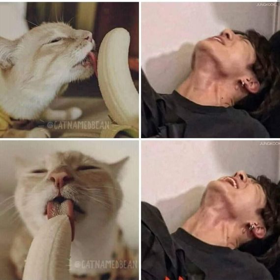 แชท หาแฟน, หาเพื่อนคุย 