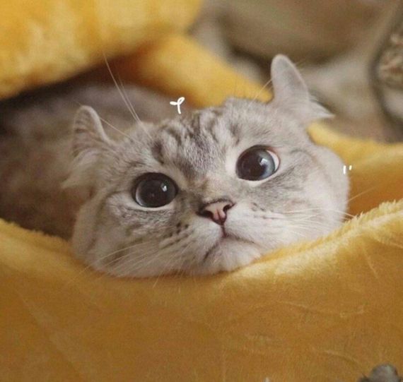 แชท หาแฟน, หาเพื่อนคุย 