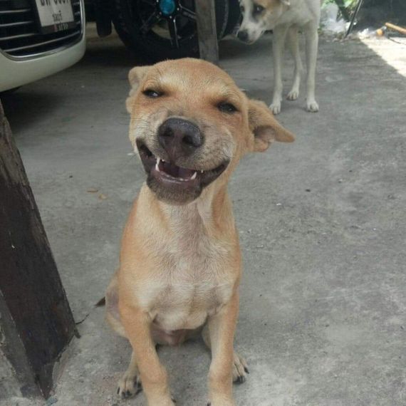 แชท แชทเปิดกล้อง 