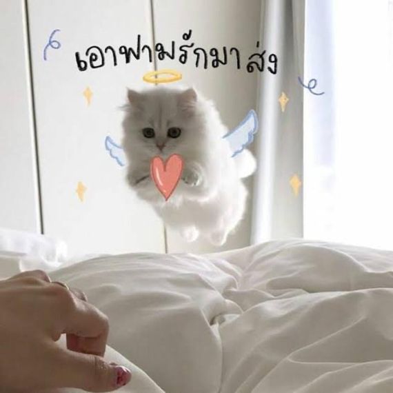 แชท หาแฟน, หาเพื่อนคุย 