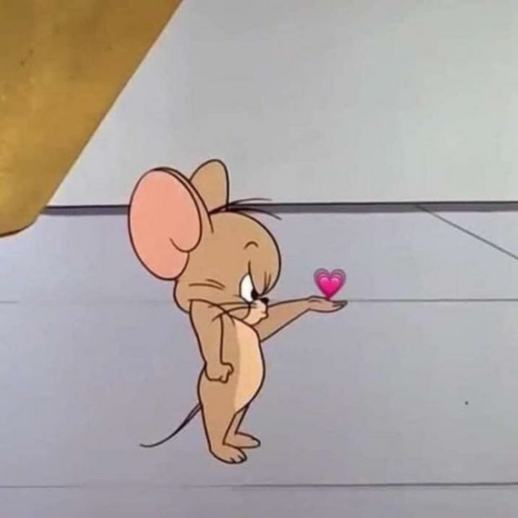 แชท หาเพื่อนคุย, โสด