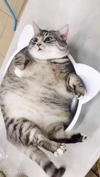 แชท หาเพื่อนคุย, หาเพื่อนเที่ยว