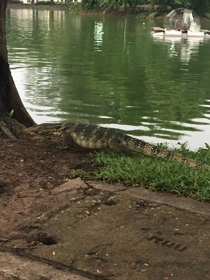 แชท หาเพื่อนคุย  ที่อยู่ กรุงเทพมหานคร