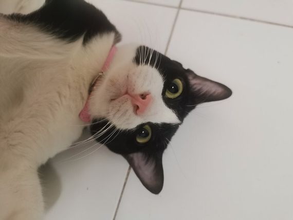 แชท หาเพื่อนคุย  ที่อยู่  นราธิวาส