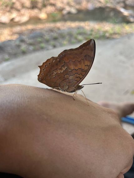 chat find love, chat 