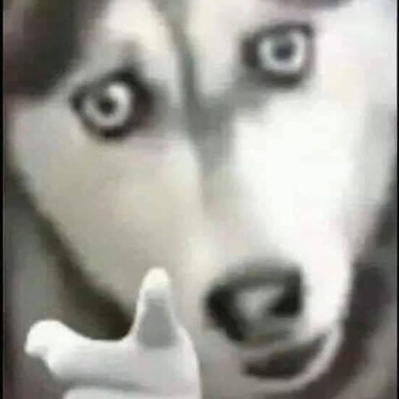 แชท หาแฟน, หาเพื่อนคุย 