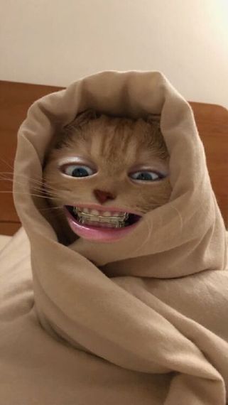 chat chat, hangout 