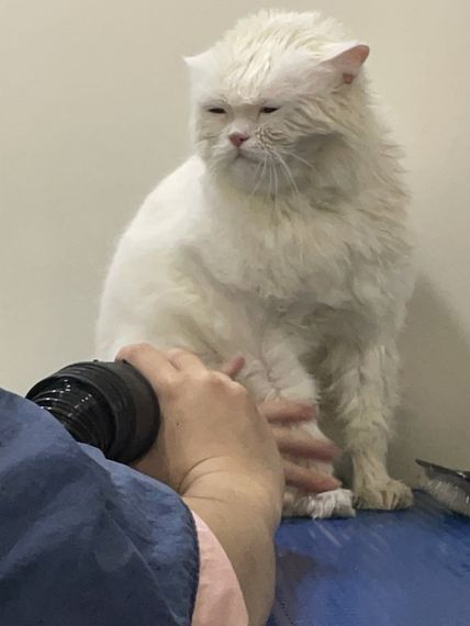 แชท หาเพื่อนคุย, หาเพื่อนเที่ยว 