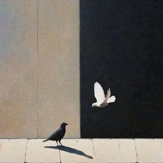 chat looking for friends 