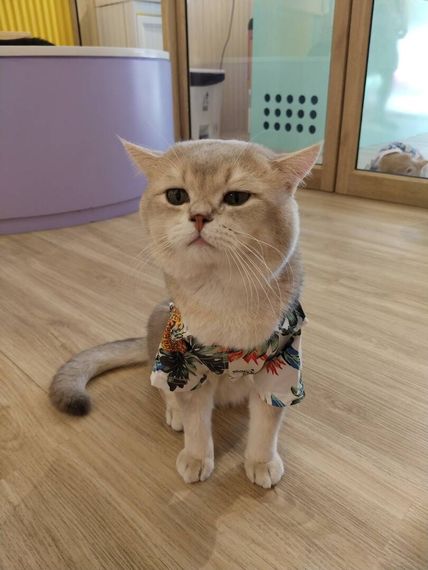 แชท หาเพื่อนคุย, หาเพื่อนเที่ยว 