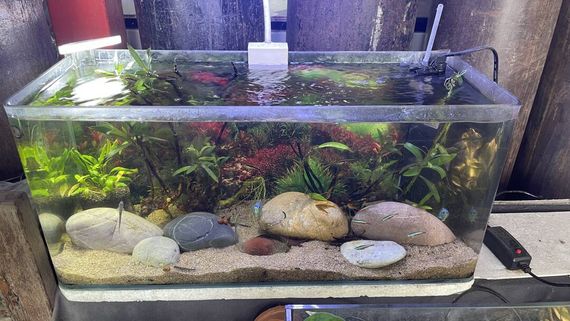 แชท หาแฟน, หาเพื่อนคุย 