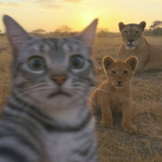 แชท หาแฟน, หาเพื่อนคุย  ที่อยู่  พระนครศรีอยุธยา