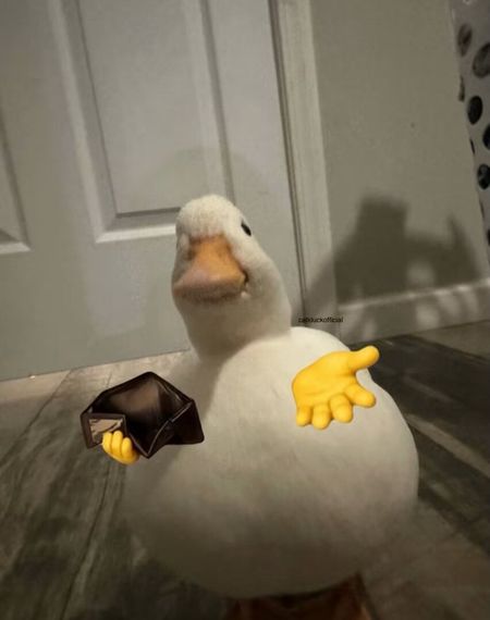 chat chat, single 
