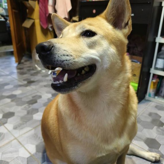 แชท แชทเปิดกล้อง  ที่อยู่ กรุงเทพมหานคร