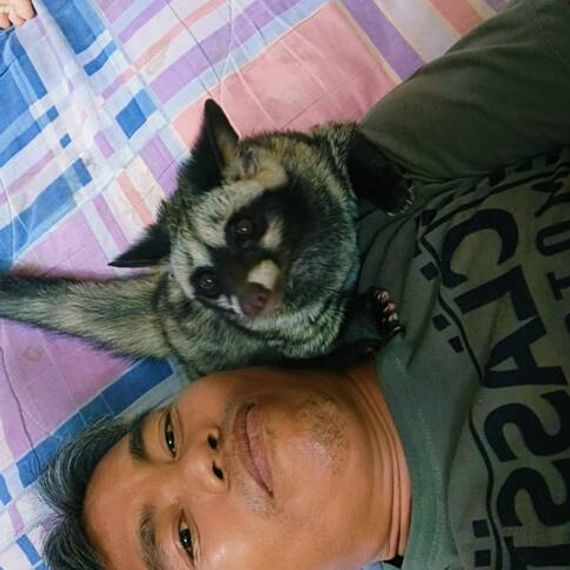 แชท หาเพื่อนคุย, หาเพื่อนไลน์ 