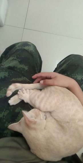 แชท หาเพื่อนคุย 