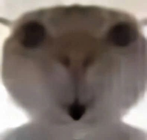 chat chat, single 