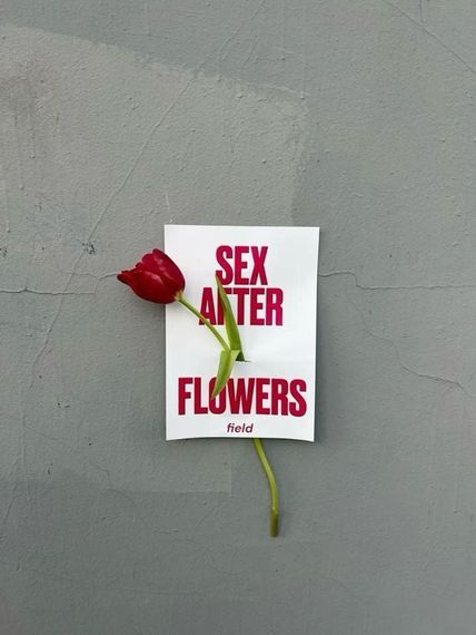 chat looking for friends