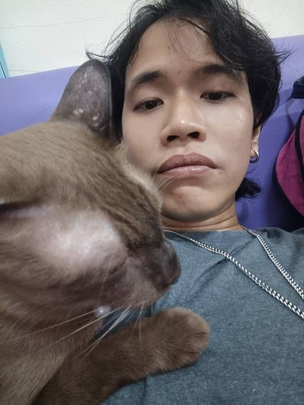 แชท หาเพื่อนคุย 