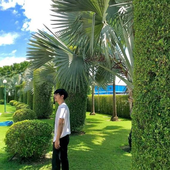 chat find love, chat 