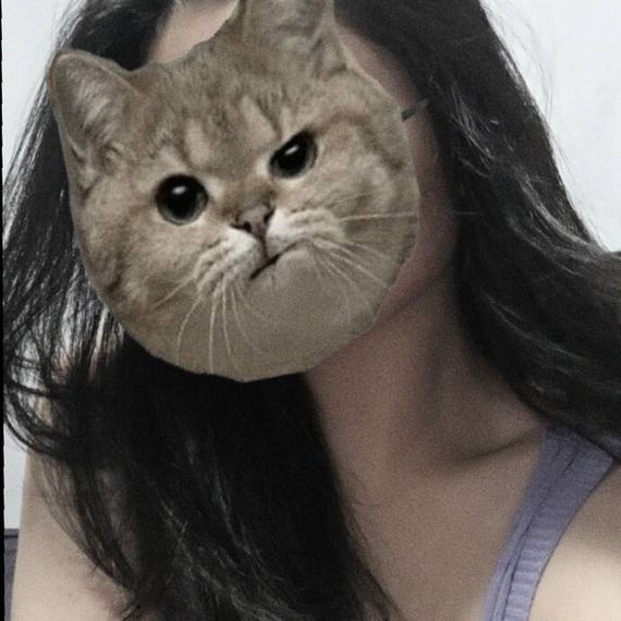 แชท โสด 