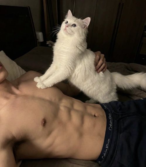 แชท หาแฟน, หาเพื่อนคุย 