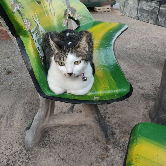 แชท หาเพื่อนคุย, หาเพื่อนเที่ยว 