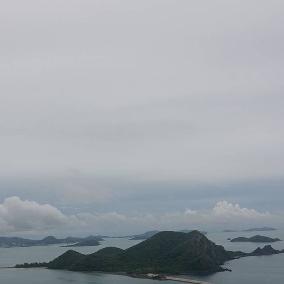 แชท หาเพื่อนคุย, โสด 