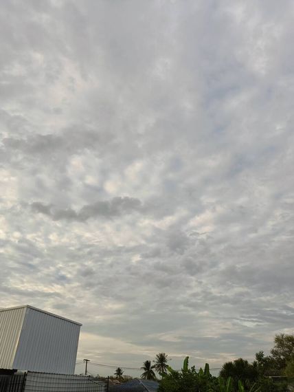 แชท หาเพื่อนคุย, โสด 