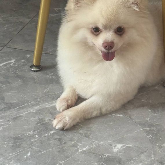 แชท หาเพื่อนคุย  ที่อยู่  ภูเก็ต