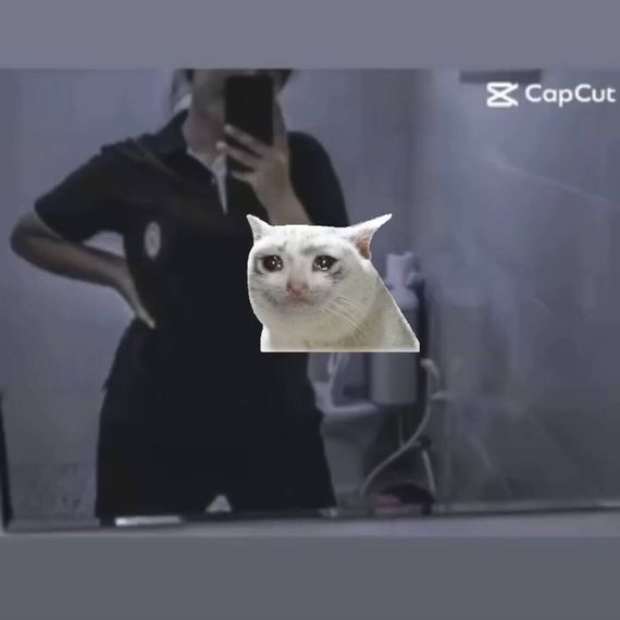 แชท โสด 