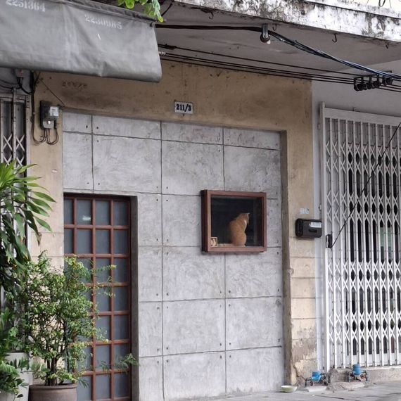 chat looking for friends 