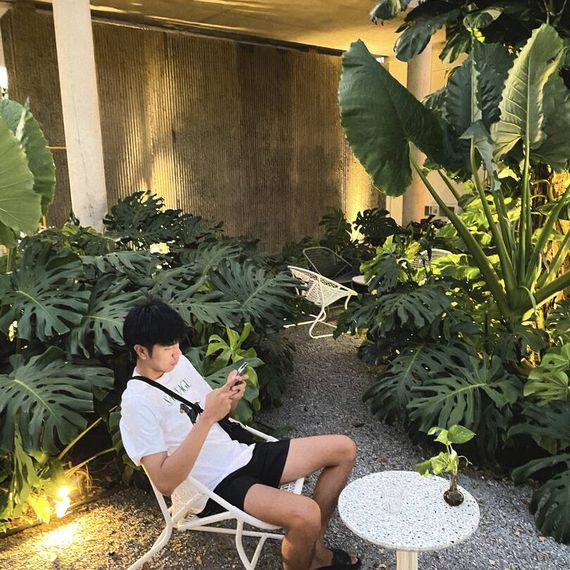 แชท โสด 