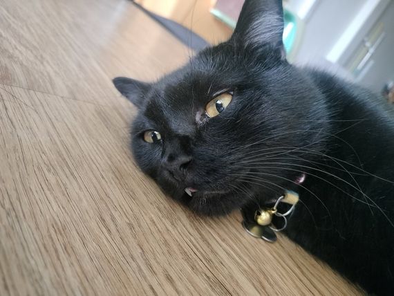 แชท หาเพื่อนคุย  ที่อยู่  สมุทรปราการ