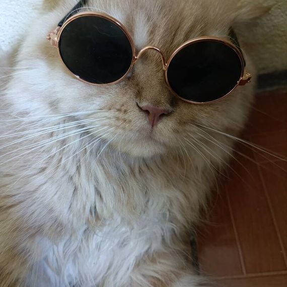 แชท หาเพื่อนคุย, หากิ๊ก ที่อยู่ ขอนแก่น