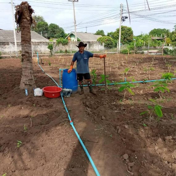 แชท หาแฟน, หาเพื่อนคุย 
