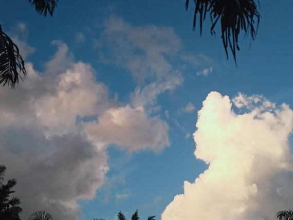 แชท หาเพื่อนคุย, โสด 