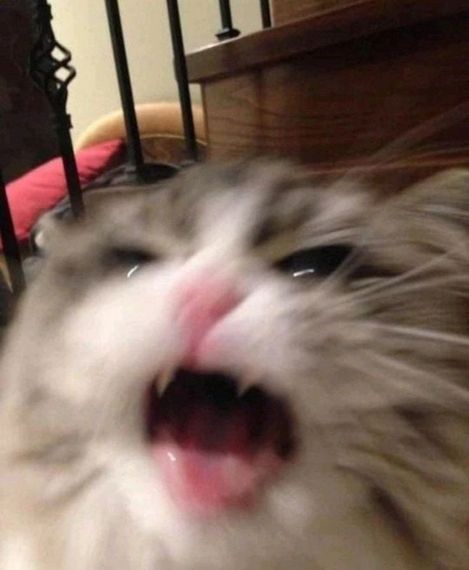 แชท หาเพื่อนคุย  ที่อยู่ กรุงเทพมหานคร