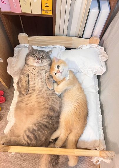chat find love, chat 
