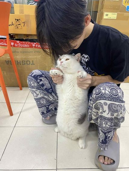 chat find love, chat from Nonthaburi