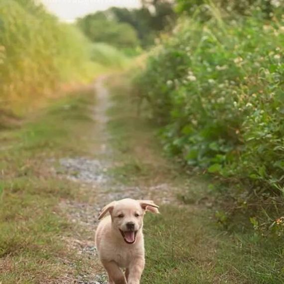 แชท หาแฟน, หาเพื่อนคุย 