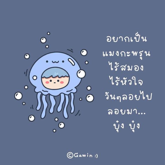 แชท หาเพื่อนคุย, โสด 