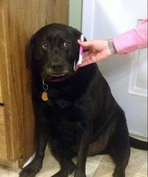 chat looking for friends  from Bangkok