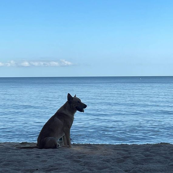 แชท หาเพื่อนคุย, หาเพื่อนเที่ยว  ที่อยู่  สมุทรปราการ