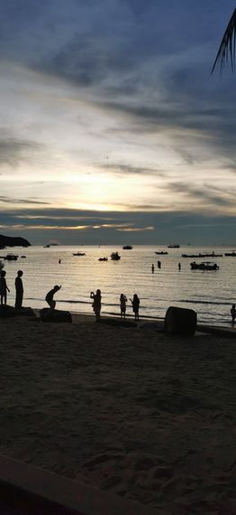 chat looking for friends 